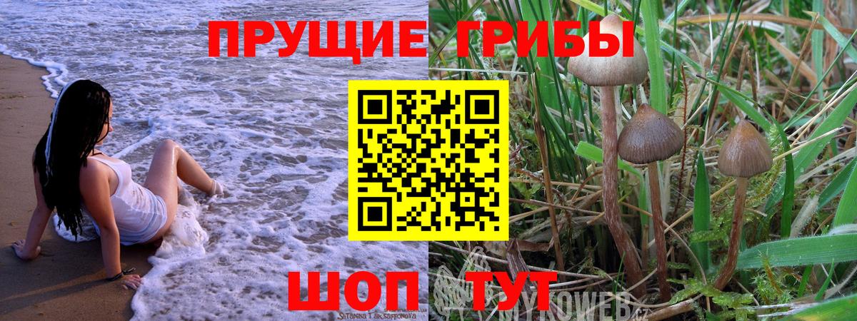Галлюциногенные грибы мицелий  Галлюциногенные грибы ЛСД  Губкин  Вход с VPN 